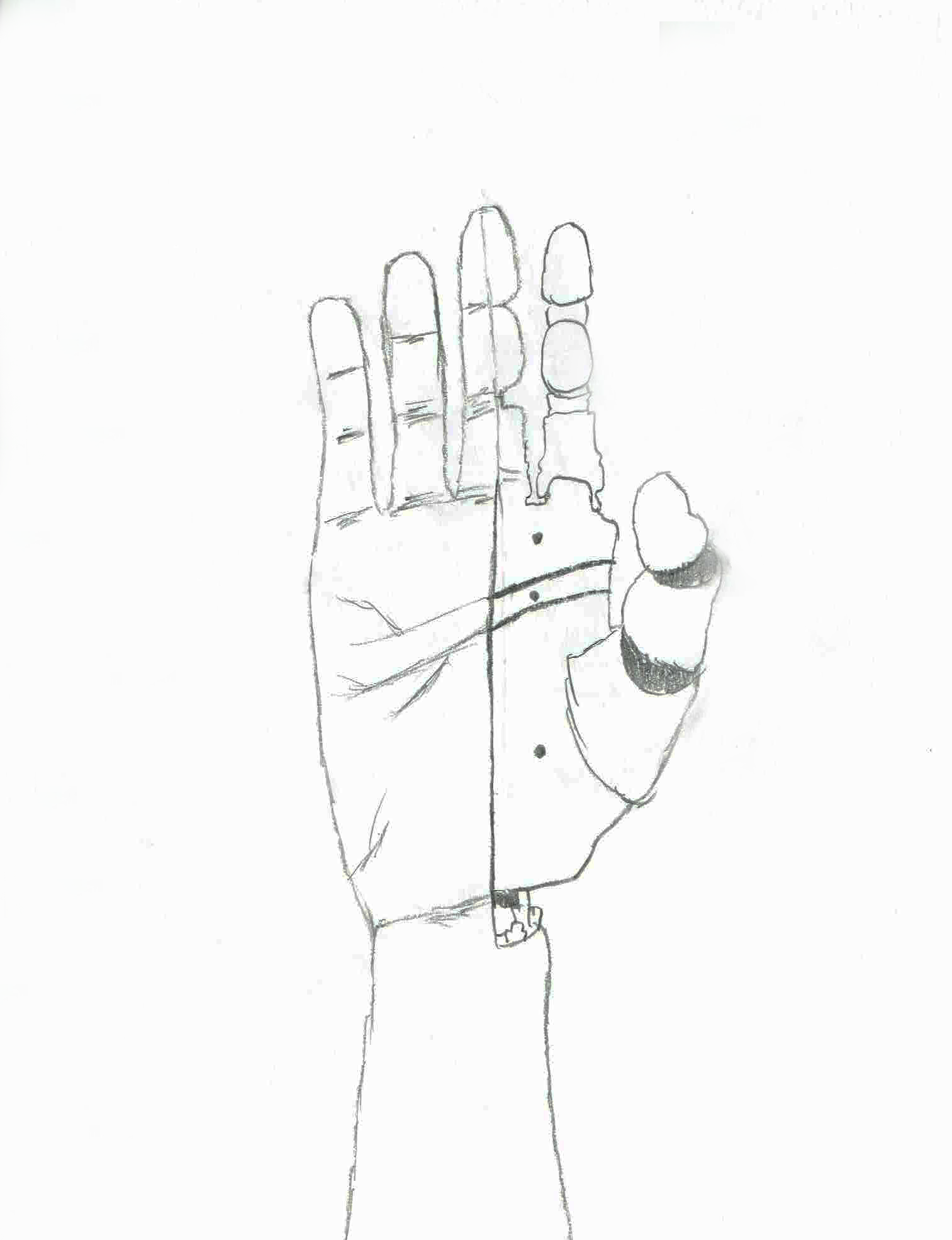 Sketch of a robotic hand